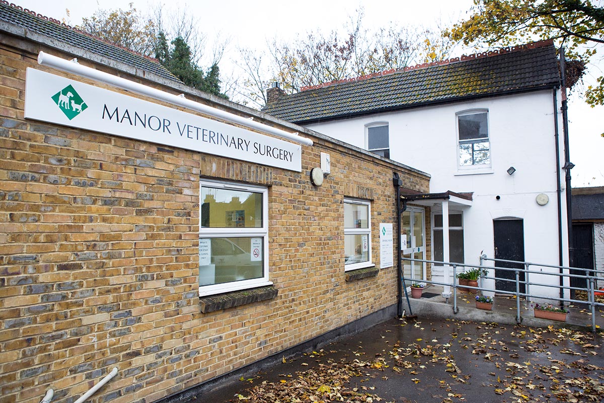Image result for vet wrap designs images Manor Veterinary Surgery - DNA Vetcare Group