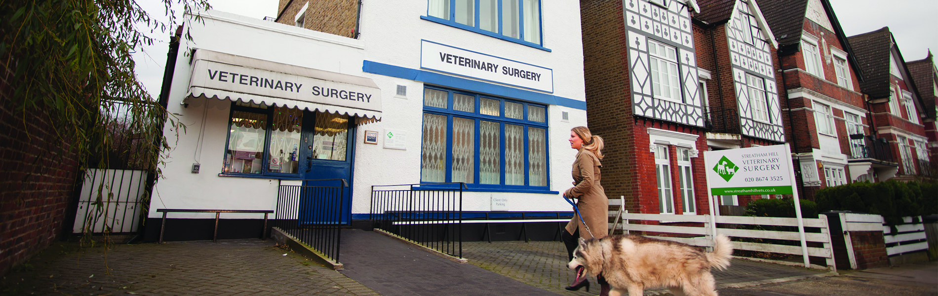 London Veterinary Surgeries DNA Vetcare Group