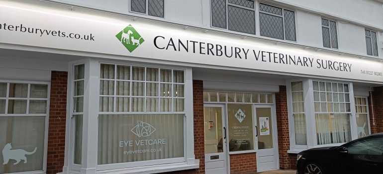 Canterbury vets