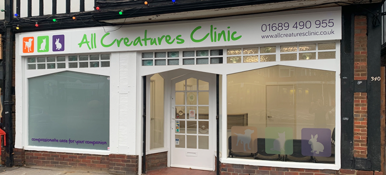 All creatures Clinic