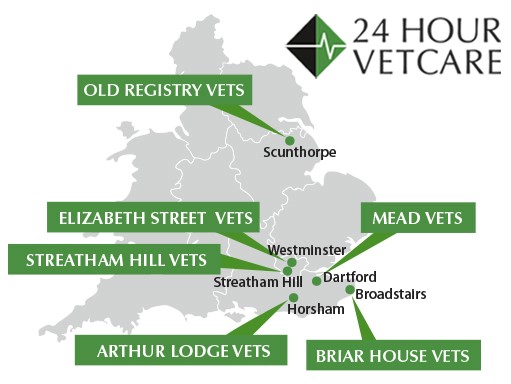 24-Hour-Vetcare-All-in-6 24-Hour-Vetcare-All-in-6