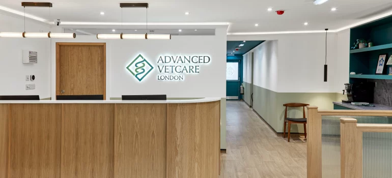 new-vet-practice-london