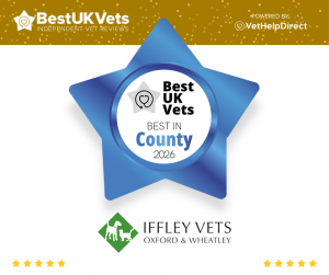 Iffley Vets - VHD