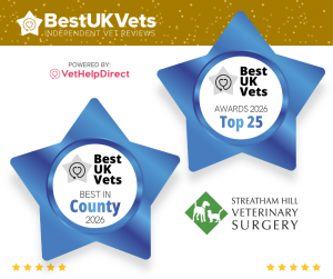 Streatham Hill vets - Awards